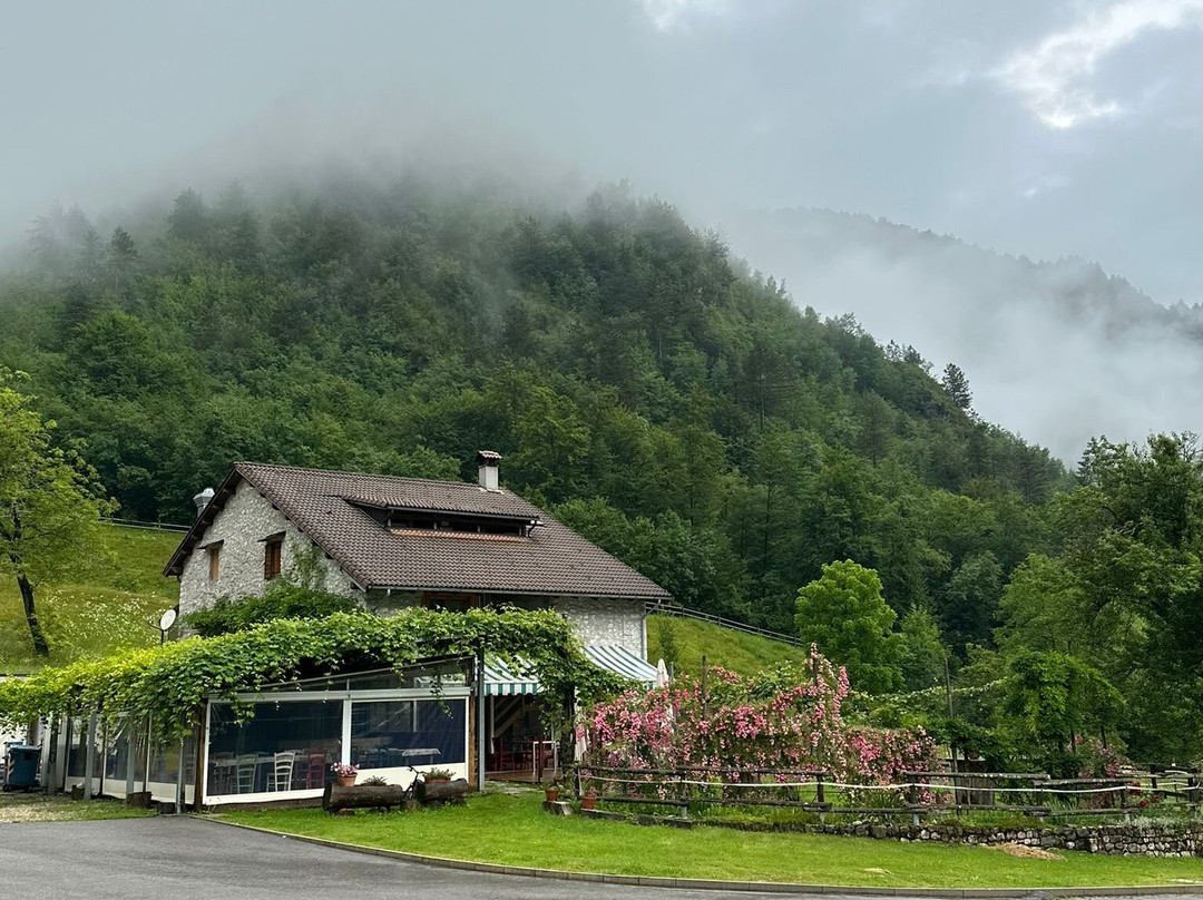 Agriturismo Pian dei Tass主图