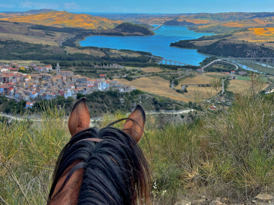 Passeggiata a cavallo a Guardialfiera