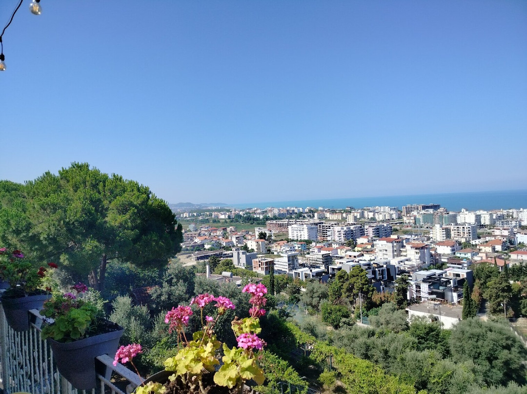 Vila Arber