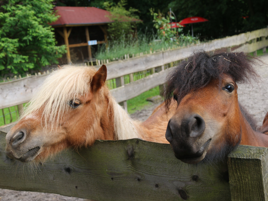 Birgits Tiergarten-Hage必去景点