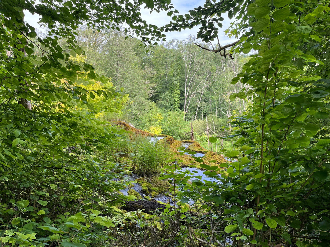 La Tuffière Source Pétrifiante-Rolampont必去景点