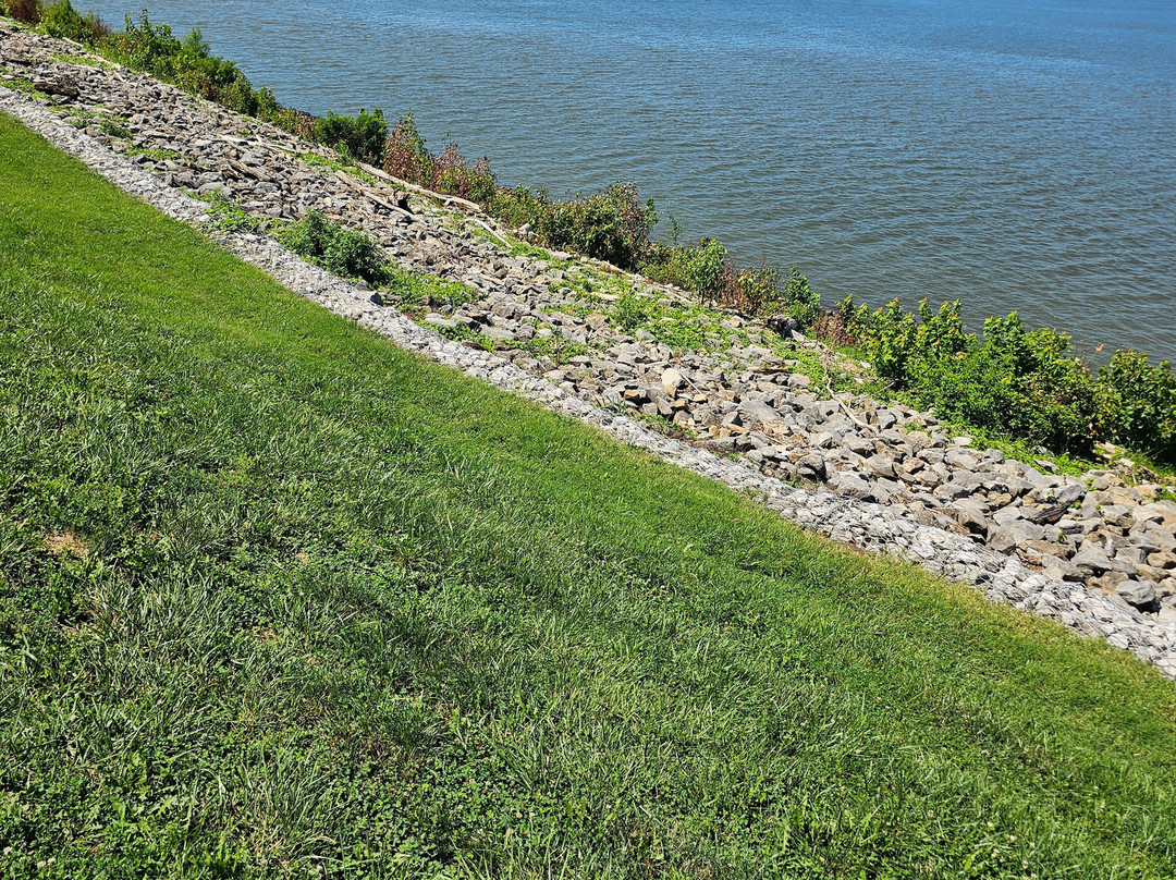 Mickey's Kingdom-埃文斯维尔必去景点