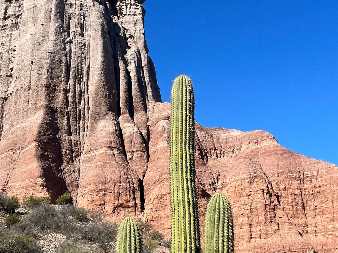 Parque Provincial El Chiflon-拉里奥哈必去景点
