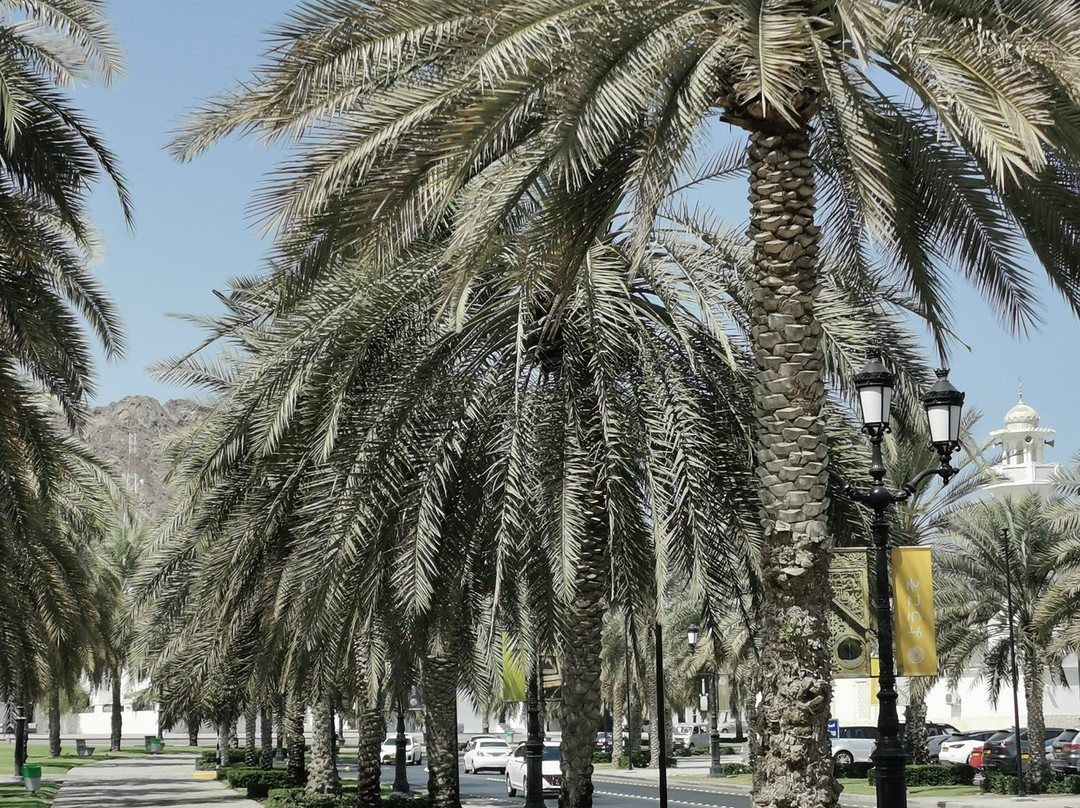 City Centre Qurum-马斯喀特必去景点