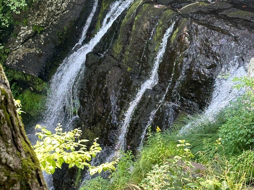 Raymondskill Falls景点图片