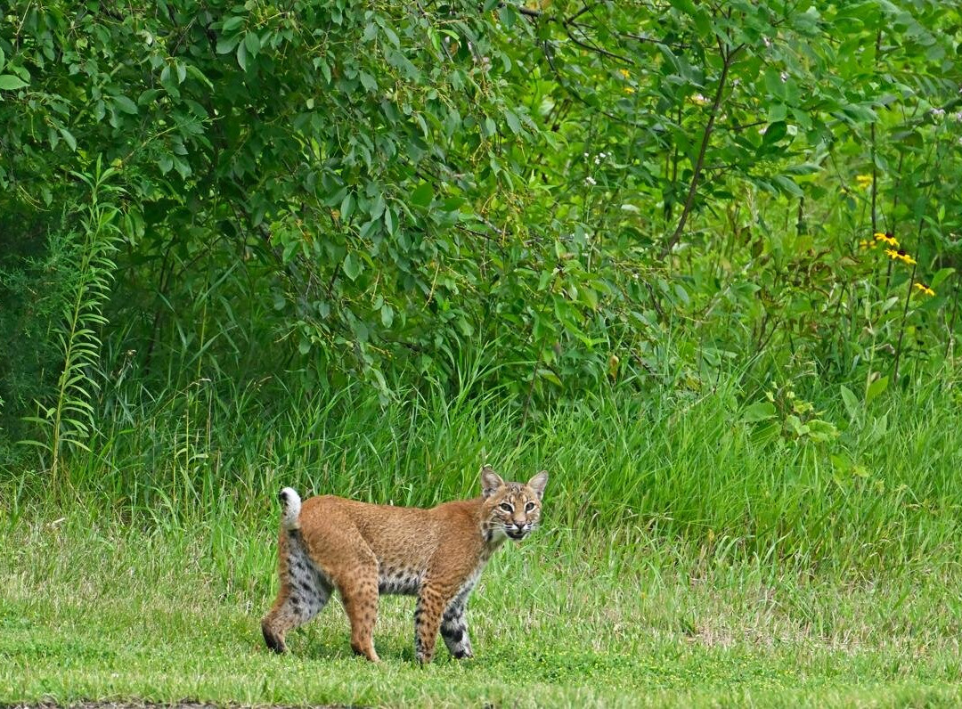 Eagle Ridge Resort & Spa主图