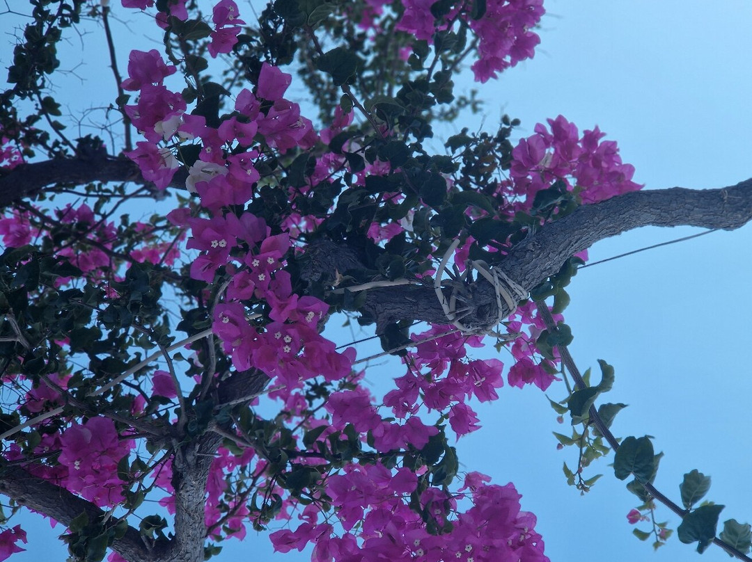 Venezia Hotel Bungalows主图