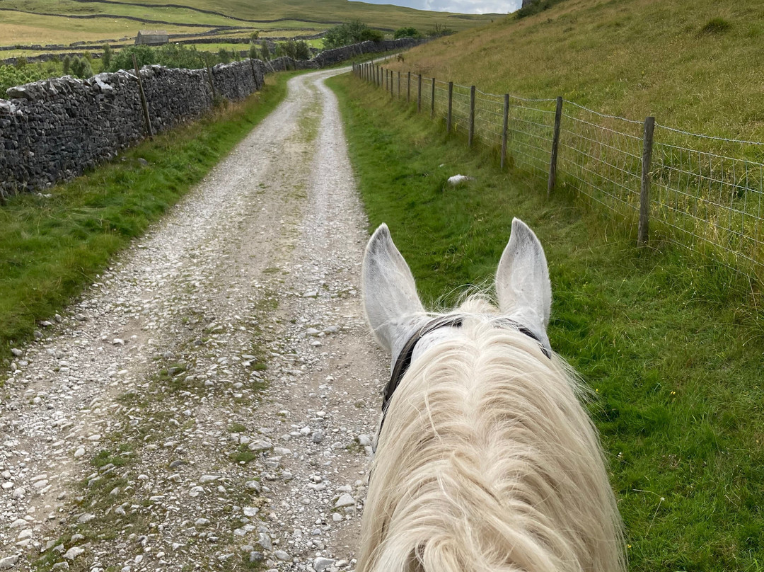 Kilnsey Trekking & Riding Centre景点图片
