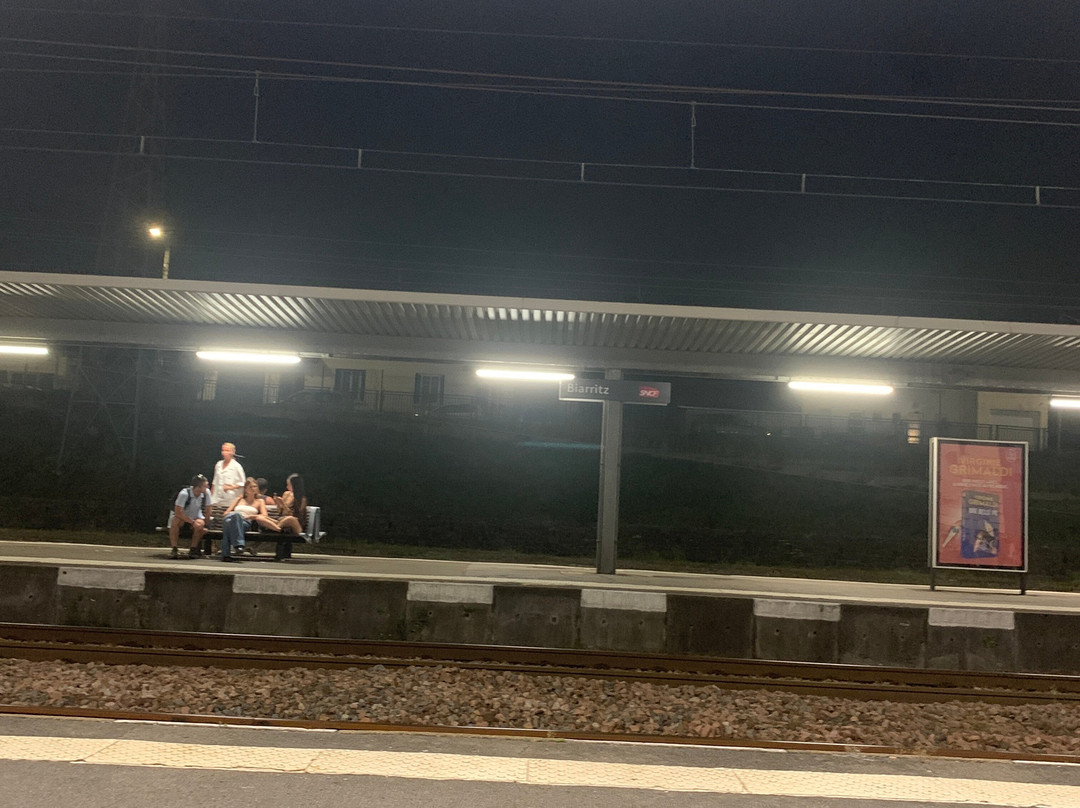 Gare du Midi景点图片