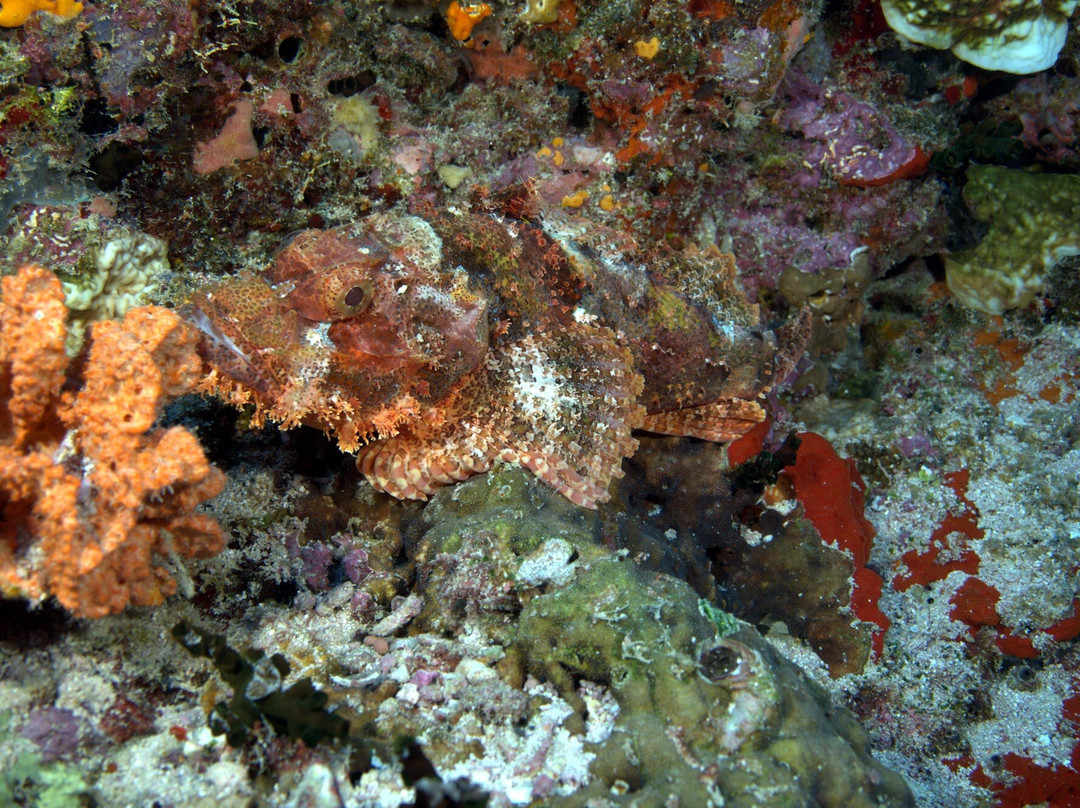 TGI Fasmendhoo-Fasmendhoo必去景点