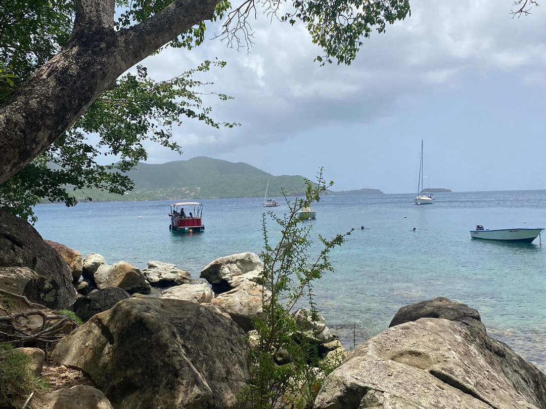 Plage Du Pain De Sucre-Terre-de-Haut必去景点