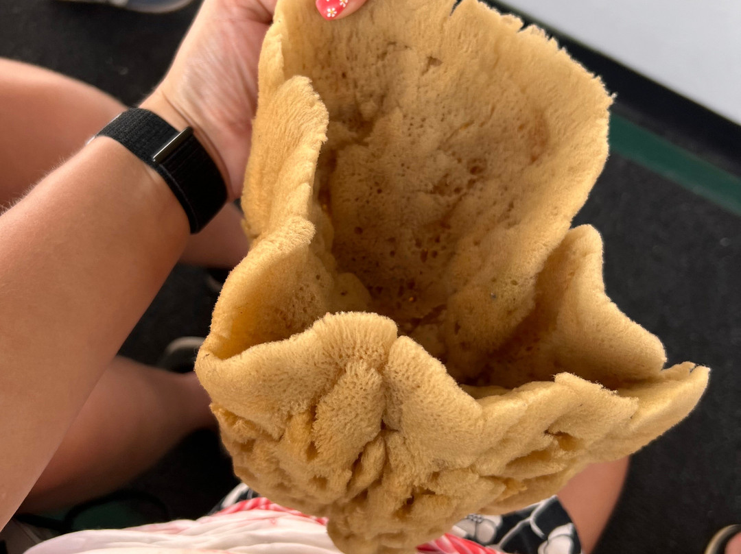 St. Nicholas Boat Line-塔彭斯普林斯必去景点