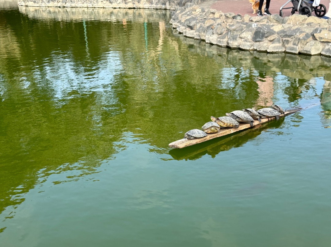 Lima Highlights Tours-利马必去景点