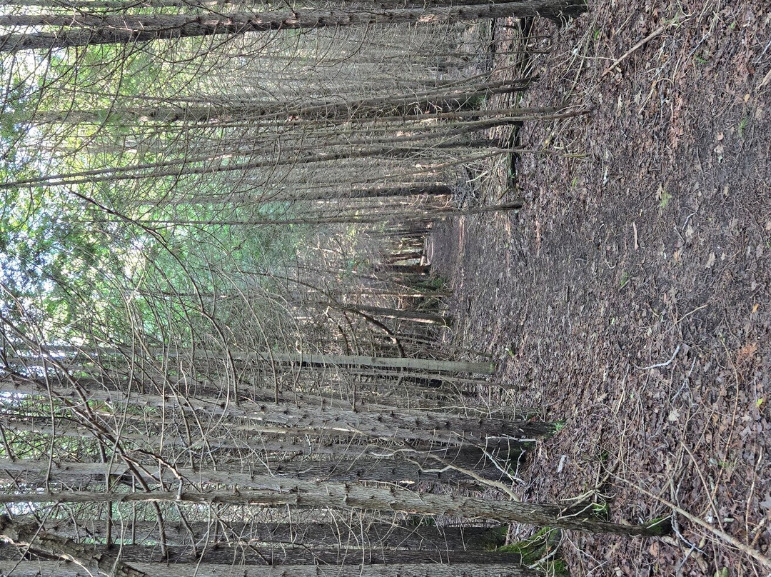 Kangaroo Lake Nature Preserve-Baileys Harbor必去景点