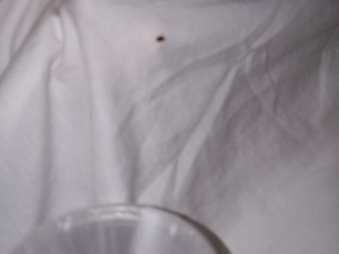 德尔顿湖6号汽车旅馆主图