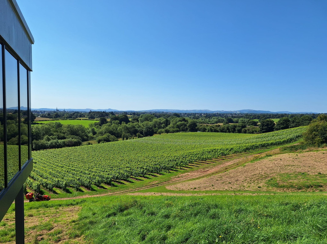Hencote Wine Tours-什鲁斯伯里必去景点