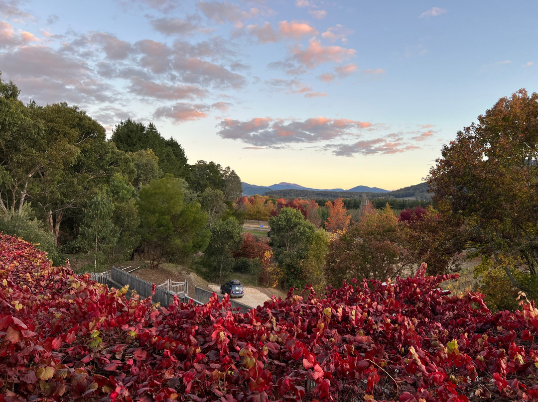 Feathertop Winery-Porepunkah必去景点