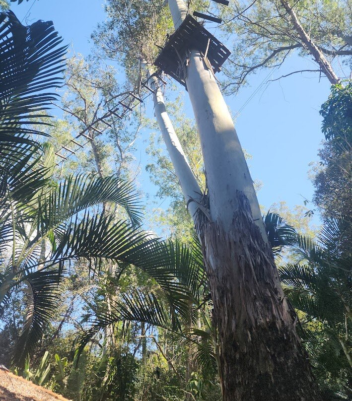 Dr. Otavio de Moura Andrade Park-Aguas de Sao Pedro必去景点