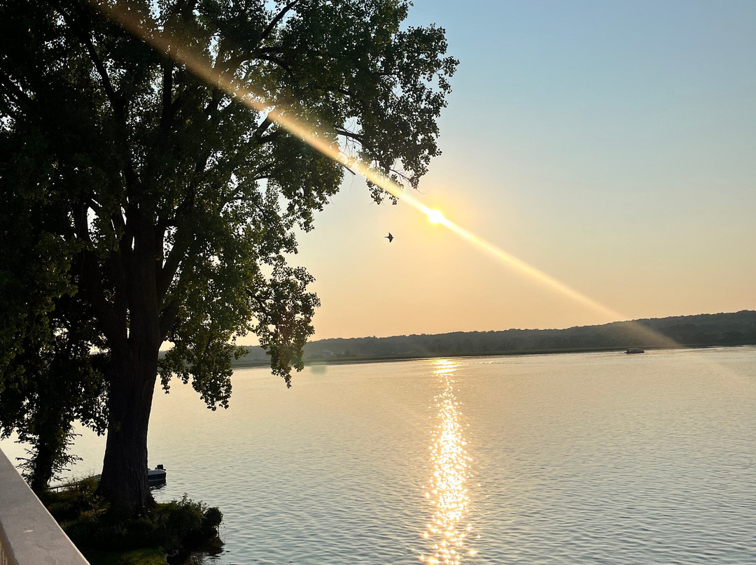 The French Country Inn主图