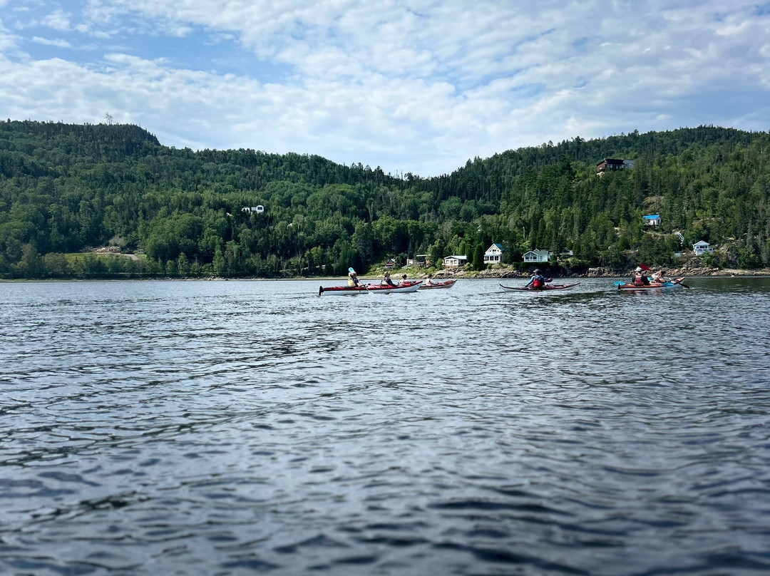 Fjord en kayak景点图片