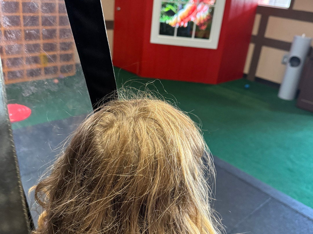 Once Upon a Cowboy-Tomball必去景点