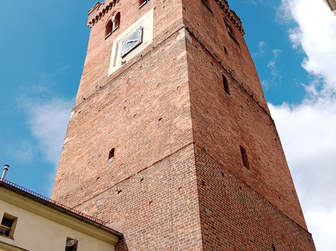 Leaning Tower景点图片