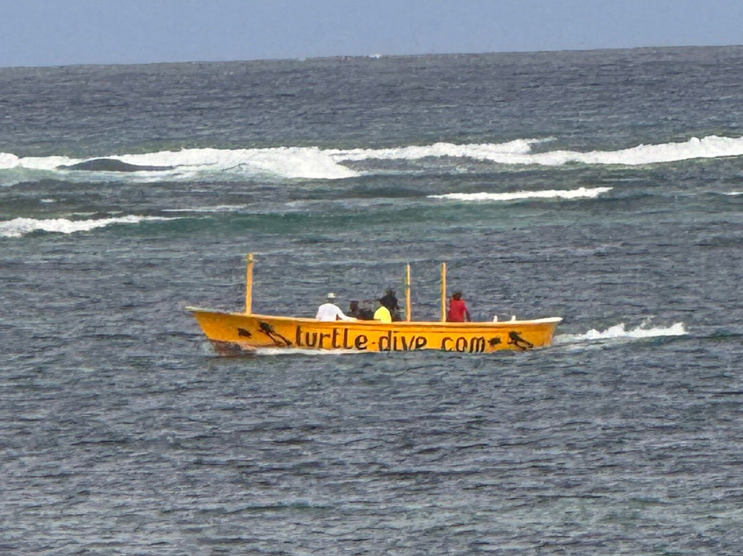 Turtle Dive- and Watersport Center-瓦塔木必去景点