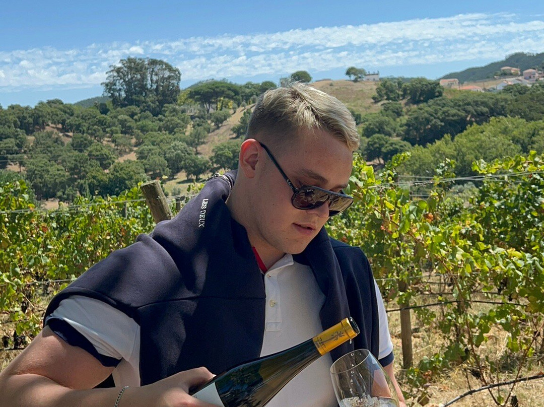Quinta de Sant'Ana景点图片