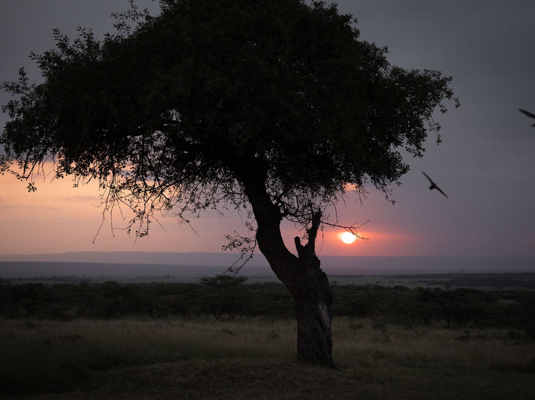 Kobe House Mara主图