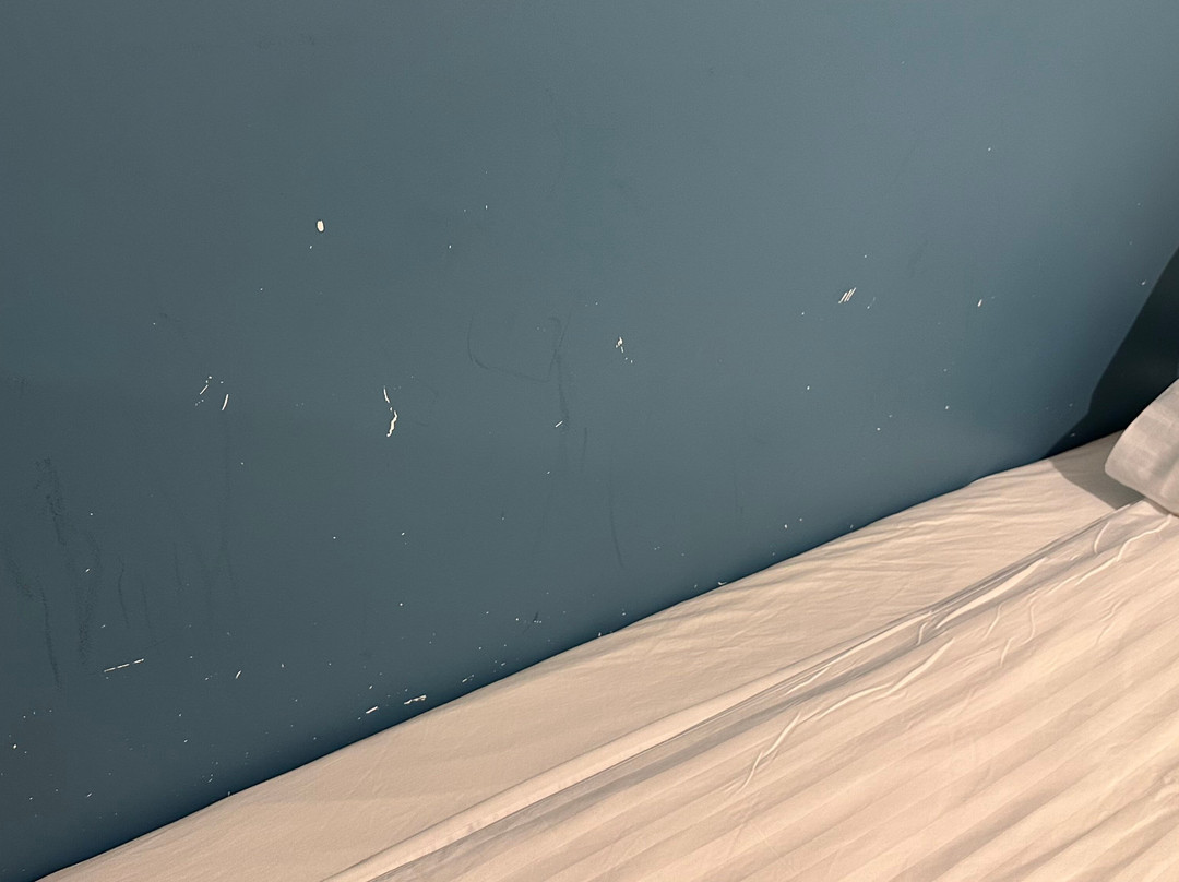 Adventure Hotel主图