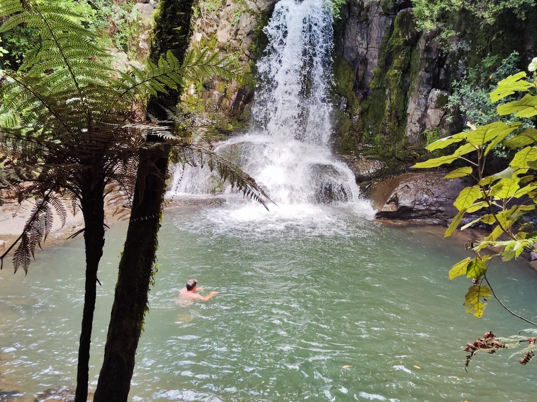Waiau Falls Walk景点图片