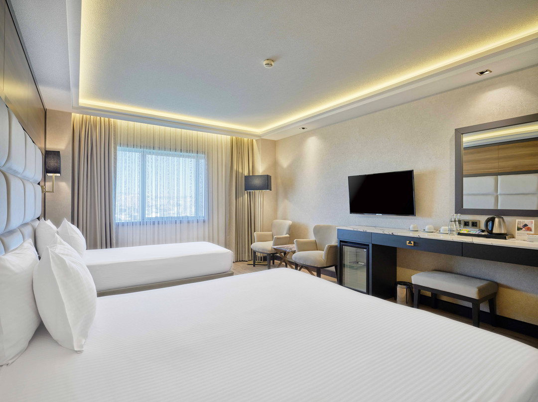 Dedeman Sanliurfa主图