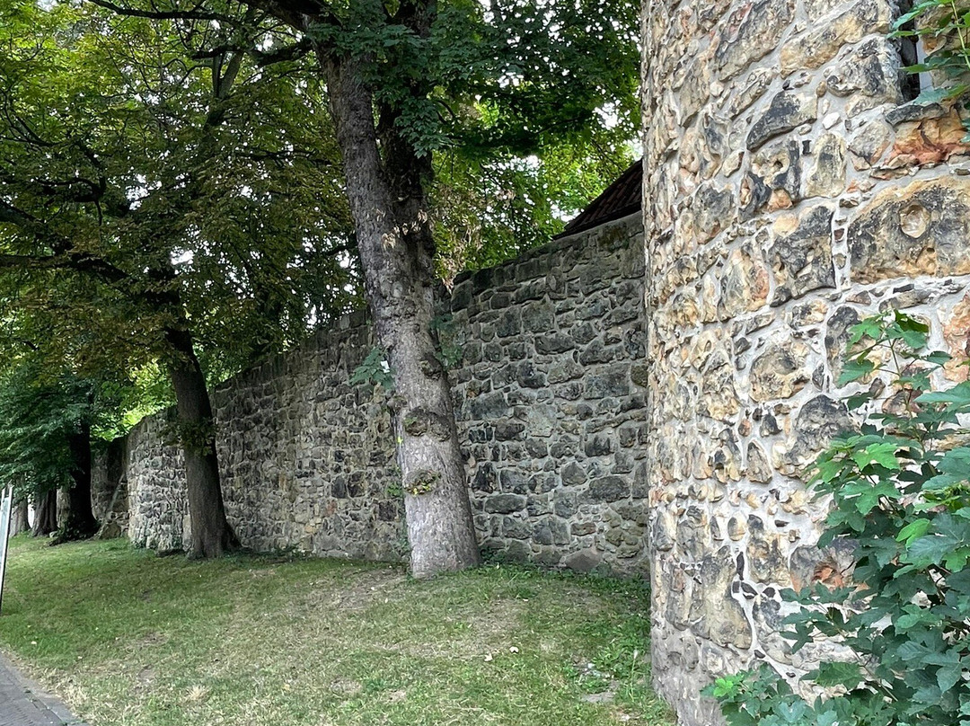 Stadtmauer Recklinghausen景点图片