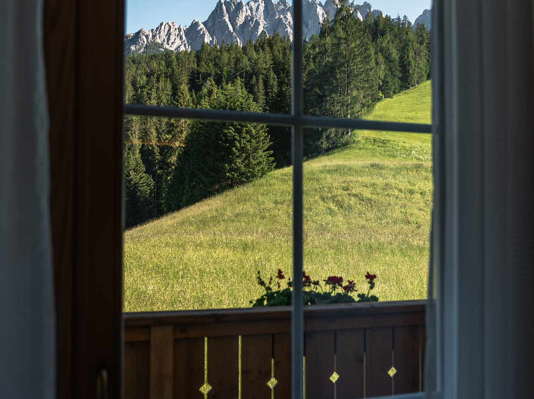 Hotel Villa Waldheim主图
