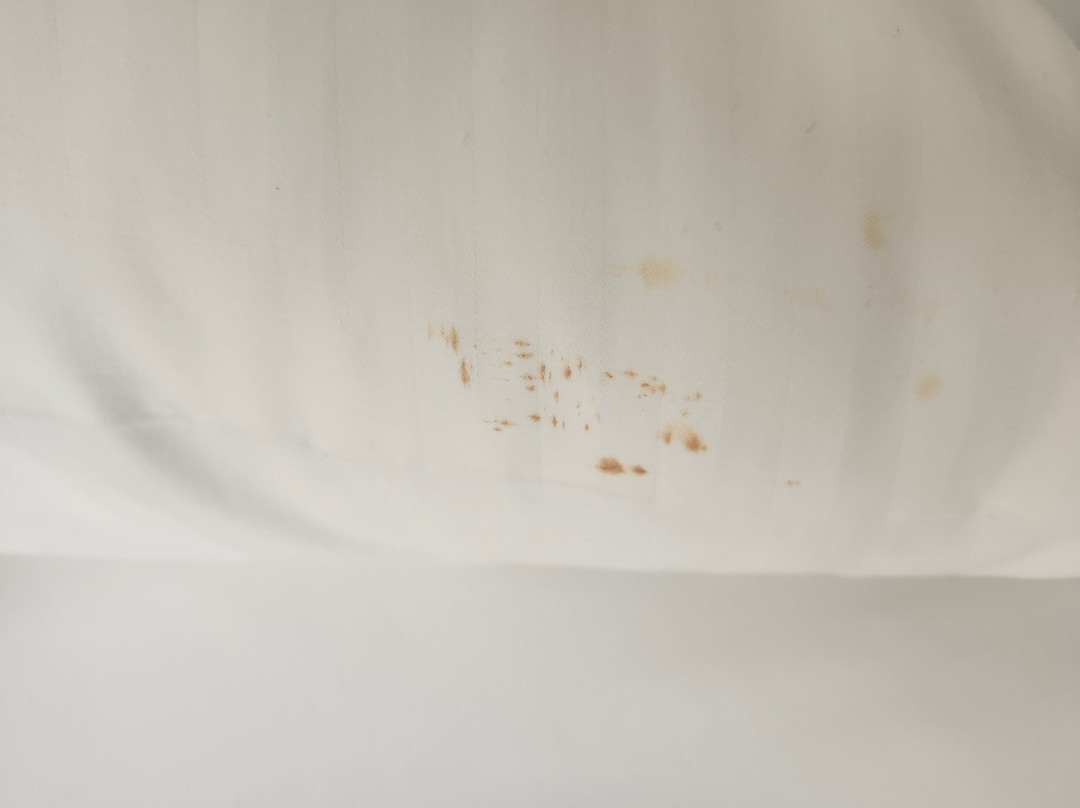 大峡谷铁路酒店主图