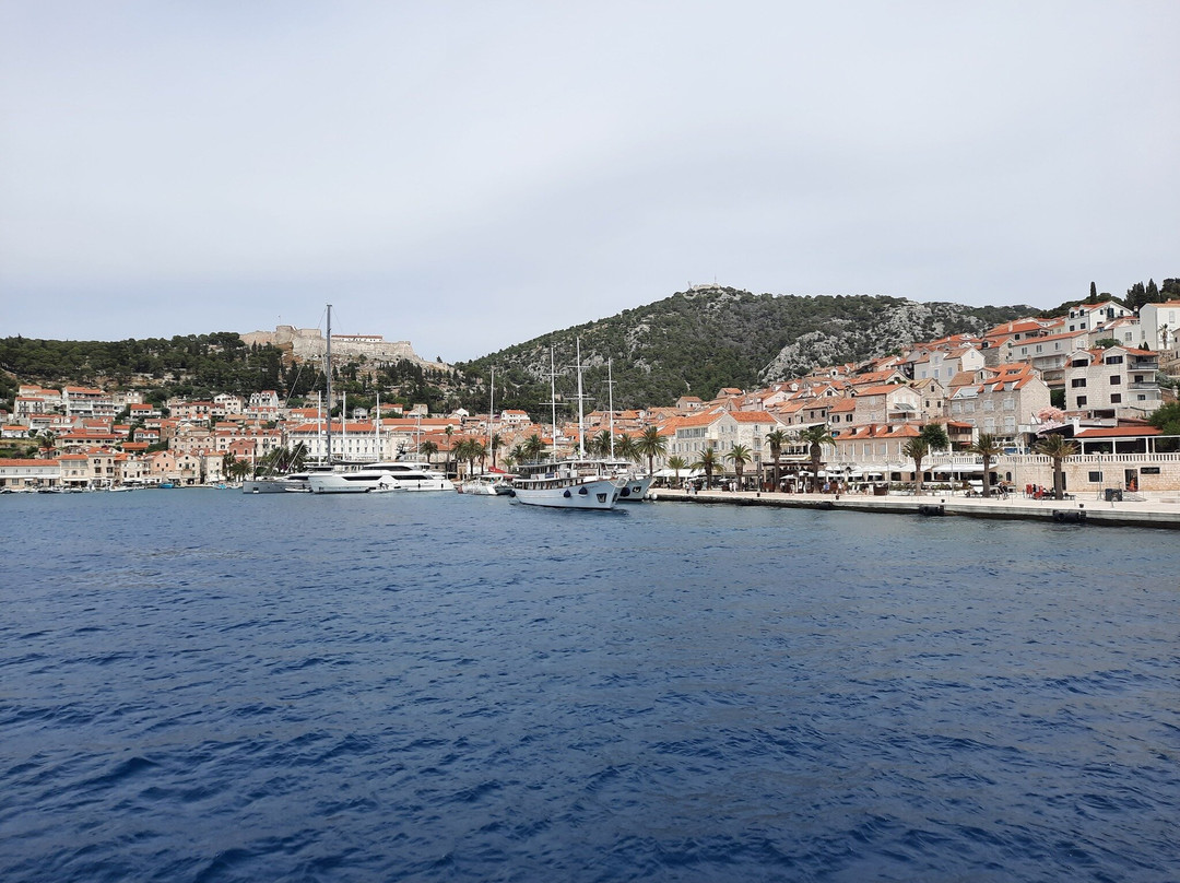 The Harbour of Hvar景点图片