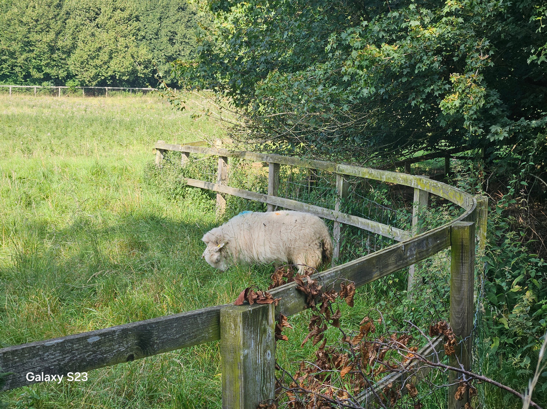 Lower Slaughter to Upper Slaughter walk景点图片