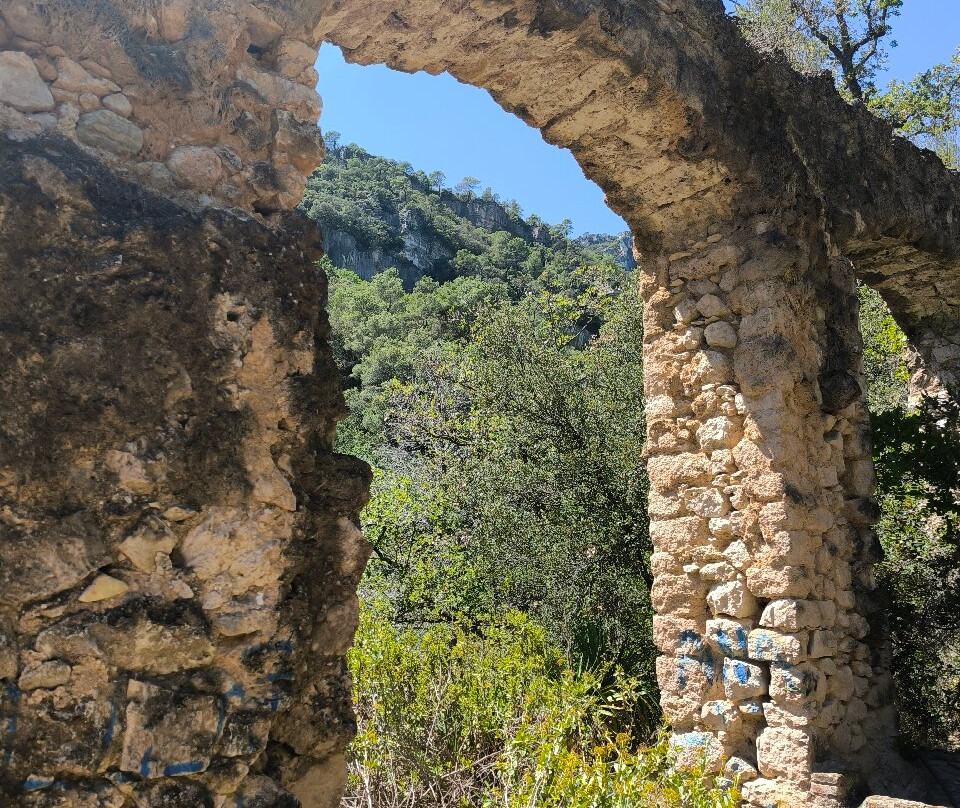 Niu de l'Aliga景点图片
