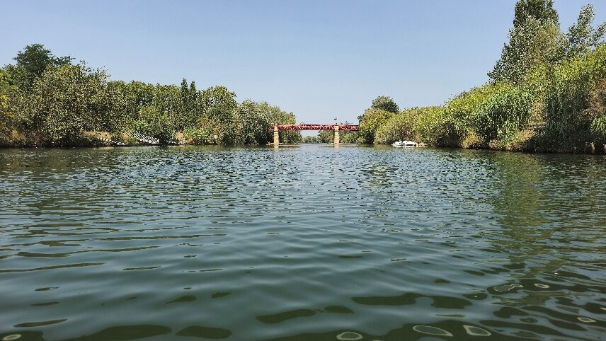 Bayou Canoë-Serignan必去景点