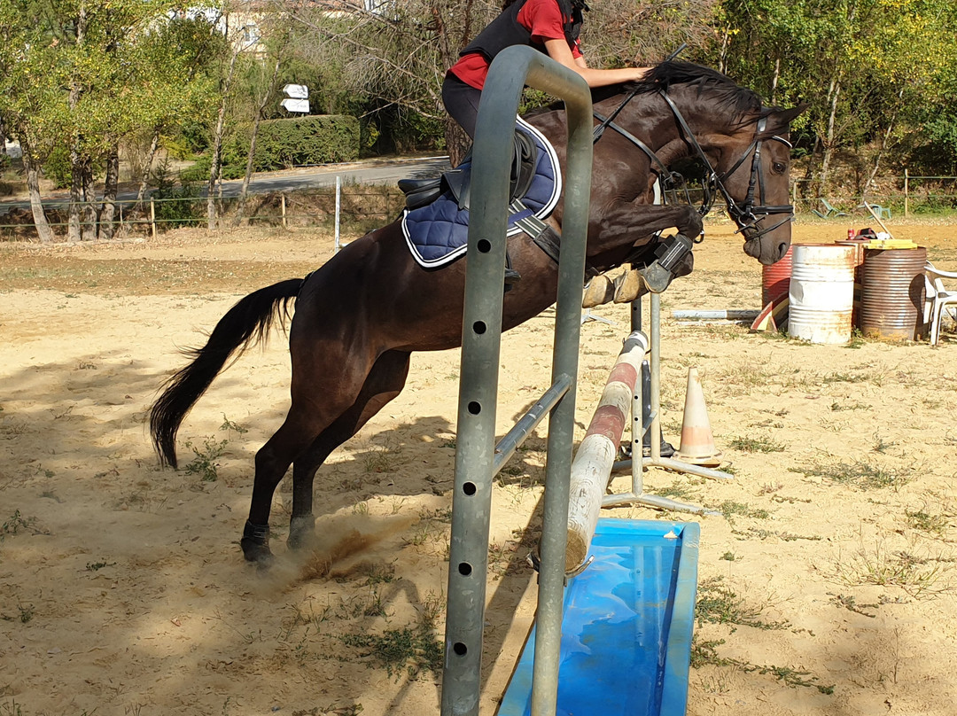 Centre Equestre du Rouret-Grospierres必去景点