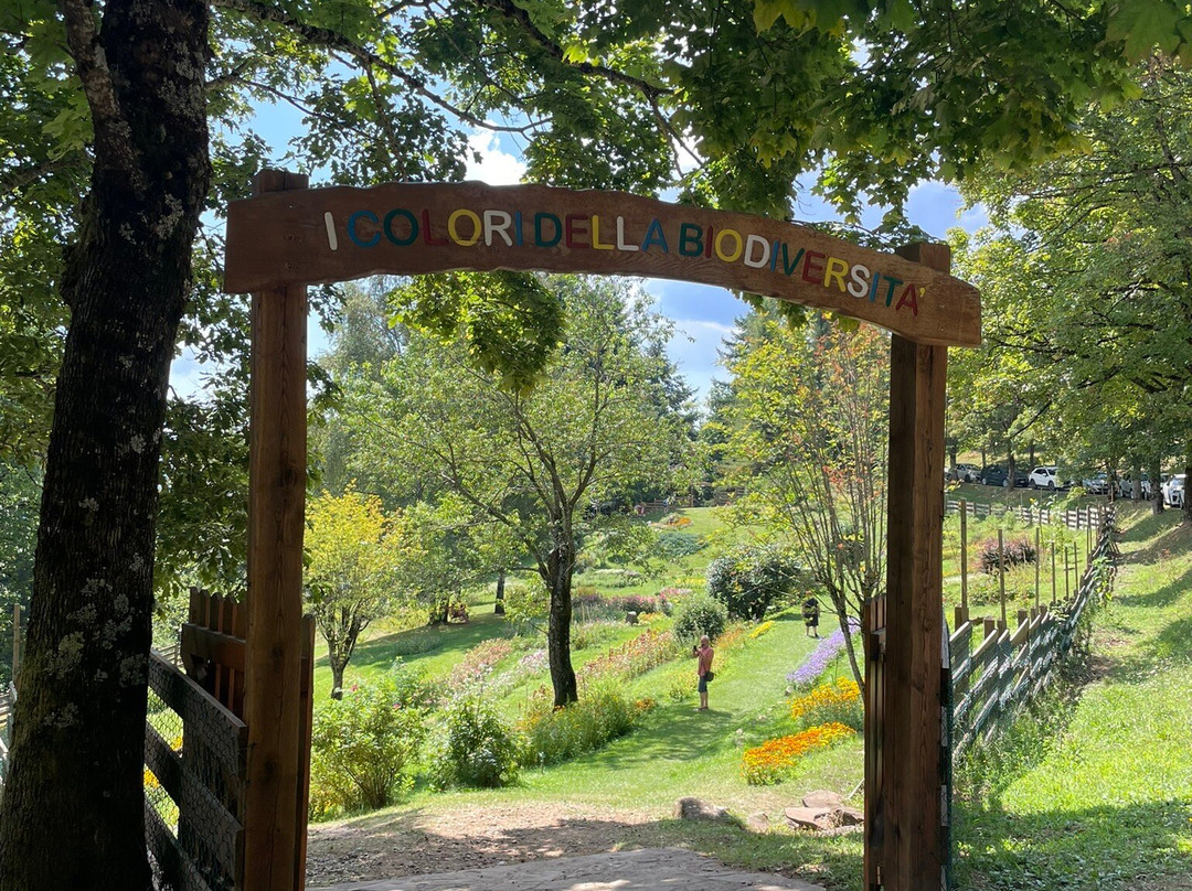 Parco dell'Orecchiella景点图片