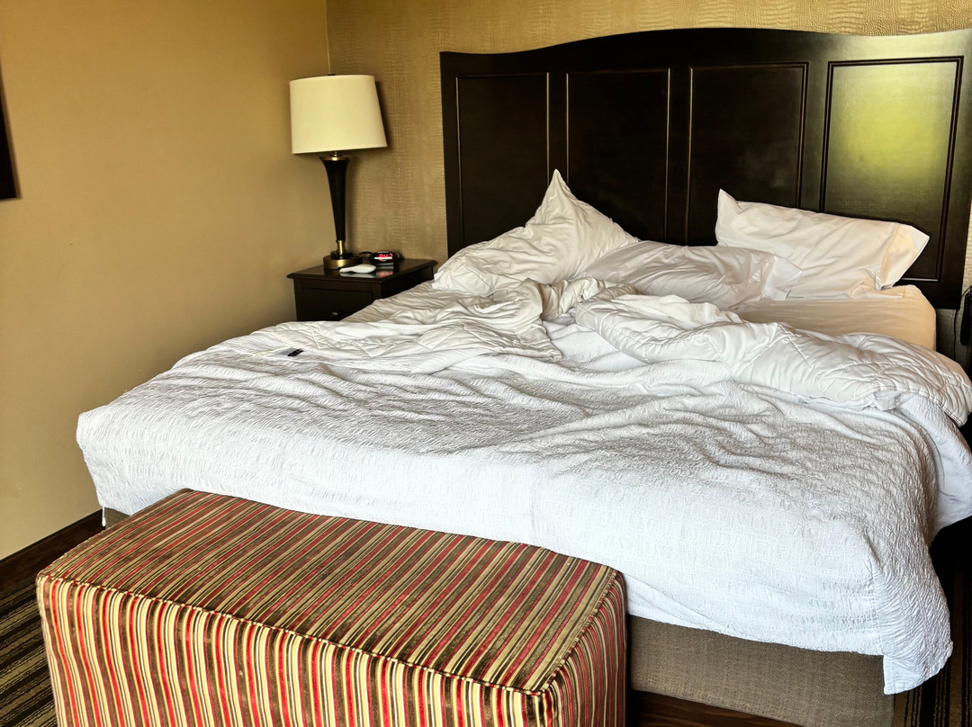 Hampton Inn & Suites Hope主图