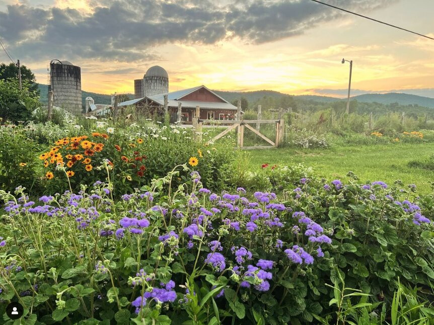 Valley Dream Farm-Cambridge必去景点