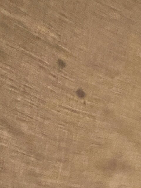 AmeriVu Inn and Suites - Waconia主图