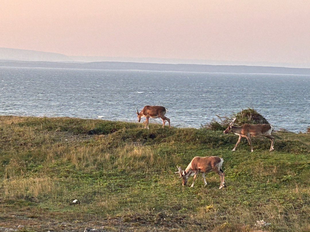 Jeannie's Sunrise Bed & Breakfast主图
