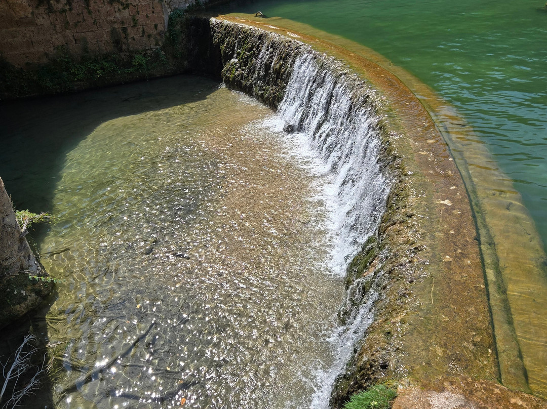 Piscine Naturelle Salernes景点图片
