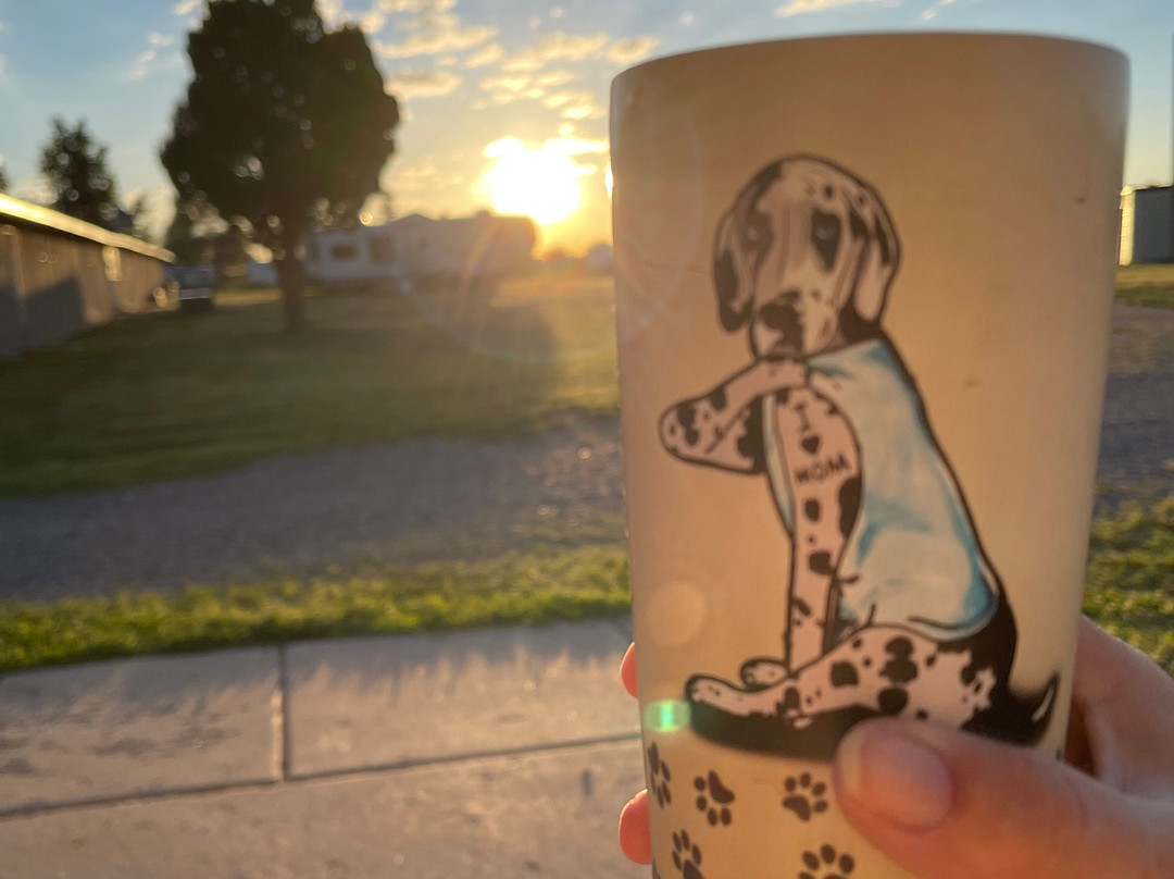 The Rock Motel主图