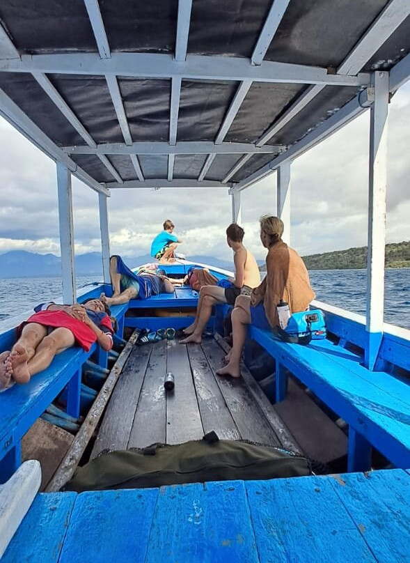 Made Taro - Menjangan Homestay主图