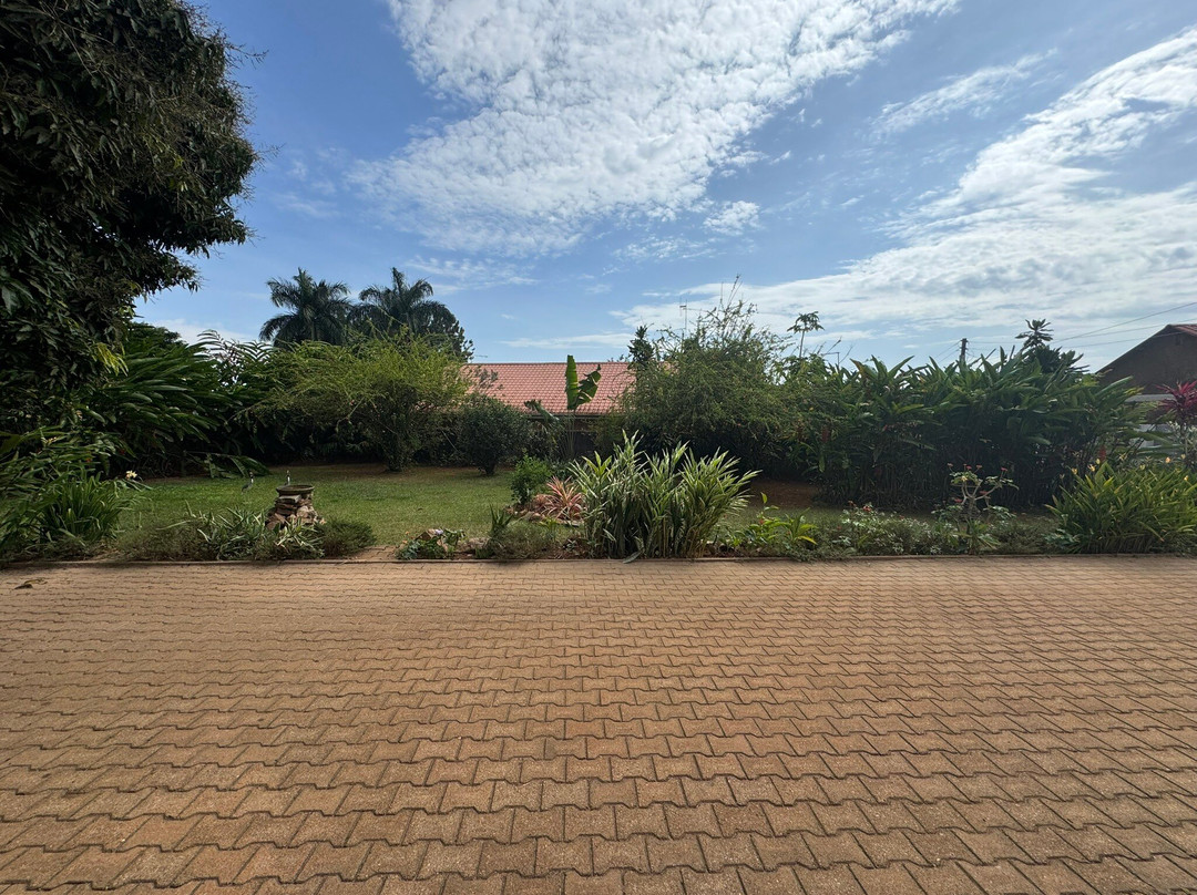 Alison & Dave's Guesthouse主图