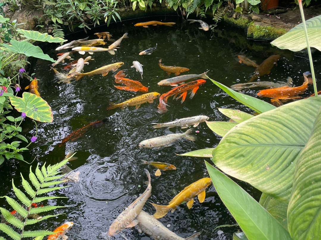 Butterfly World-斯托克顿提斯必去景点